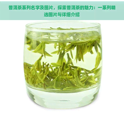 普洱茶系列名字及图片，探索普洱茶的魅力：一系列精选图片与详细介绍