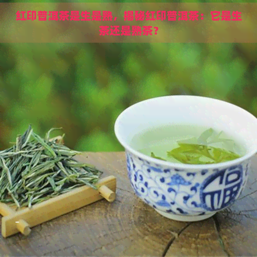 红印普洱茶是生是熟，揭秘红印普洱茶：它是生茶还是熟茶？