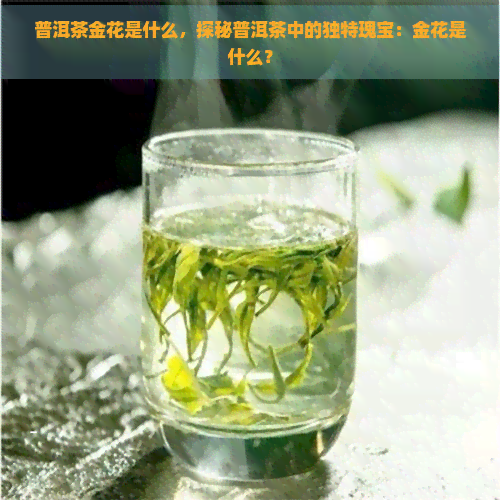 普洱茶金花是什么，探秘普洱茶中的独特瑰宝：金花是什么？