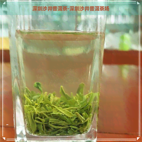 深圳沙井普洱茶-深圳沙井普洱茶场