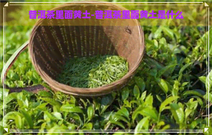 普洱茶里面黄土-普洱茶里面黄土是什么