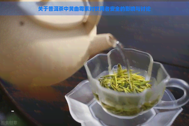 关于普洱茶中黄曲霉素对饮用者安全的影响与讨论