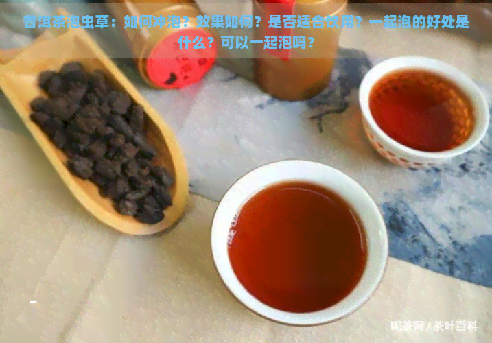 普洱茶泡虫草：如何冲泡？效果如何？是否适合饮用？一起泡的好处是什么？可以一起泡吗？