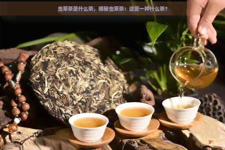 虫草茶是什么茶，揭秘虫草茶：这是一种什么茶？