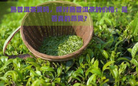 熟普洱茶贵吗，探讨熟普洱茶的价格：是否真的昂贵？