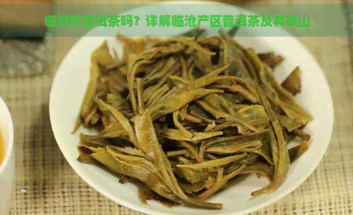 临沧有普洱茶吗？详解临沧产区普洱茶及其茶山