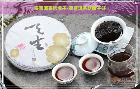 买普洱茶啥牌子-买普洱茶啥牌子好