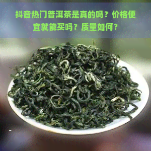 抖音热门普洱茶是真的吗？价格便宜就能买吗？质量如何？