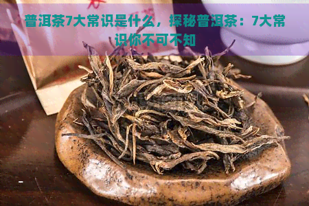 普洱茶7大常识是什么，探秘普洱茶：7大常识你不可不知