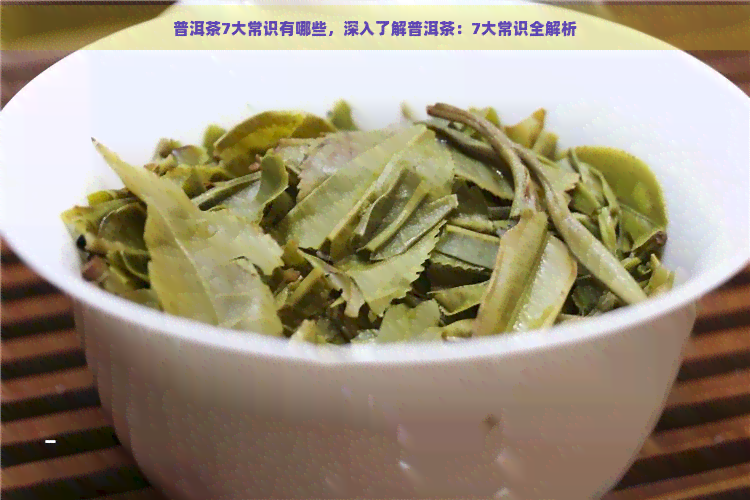 普洱茶7大常识有哪些，深入了解普洱茶：7大常识全解析