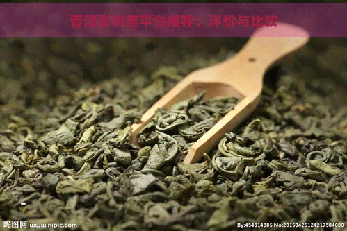 普洱茶销售平台推荐：评价与比较