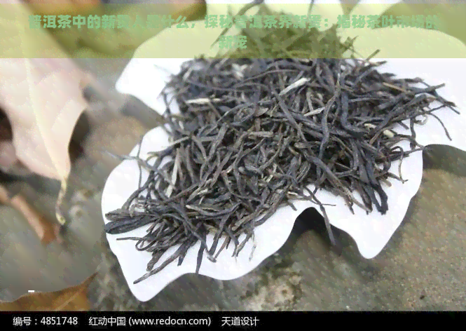 普洱茶中的新贵人是什么，探秘普洱茶界新贵：揭秘茶叶市场的新宠