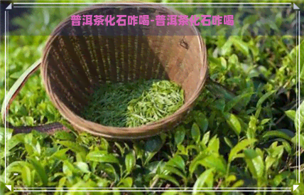 普洱茶化石咋喝-普洱茶化石咋喝