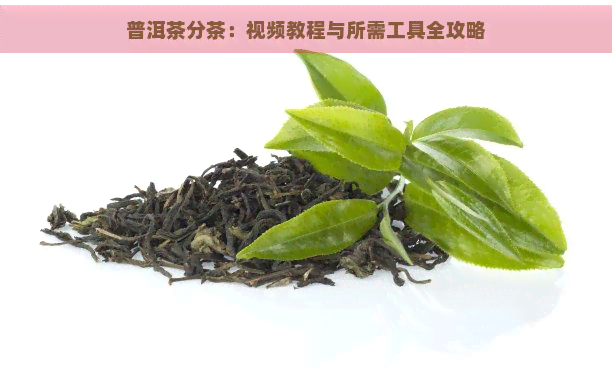 普洱茶分茶：视频教程与所需工具全攻略