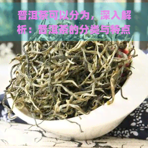 普洱茶可以分为，深入解析：普洱茶的分类与特点