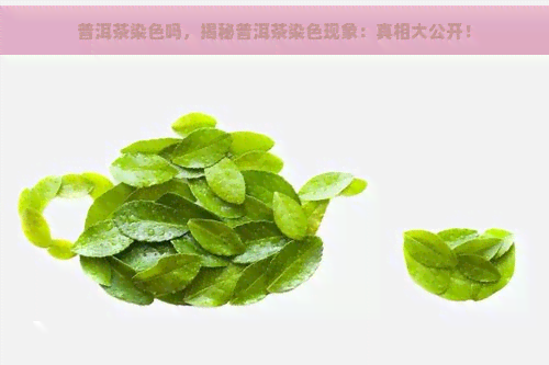 普洱茶染色吗，揭秘普洱茶染色现象：真相大公开！