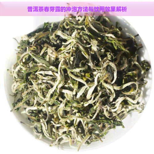 普洱茶春芽露的冲泡方法与饮用效果解析