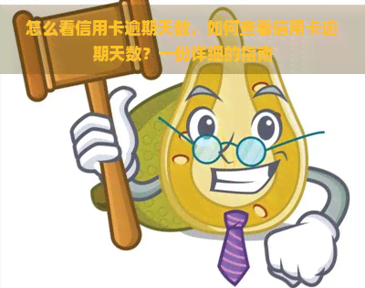 怎么看信用卡逾期天数，如何查看信用卡逾期天数？一份详细的指南