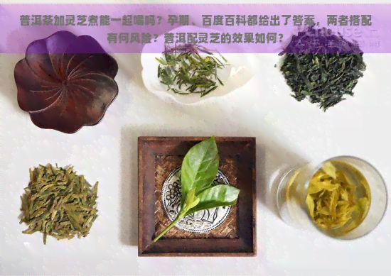 普洱茶加灵芝煮能一起喝吗？孕期、百度百科都给出了答案，两者搭配有何风险？普洱配灵芝的效果如何？