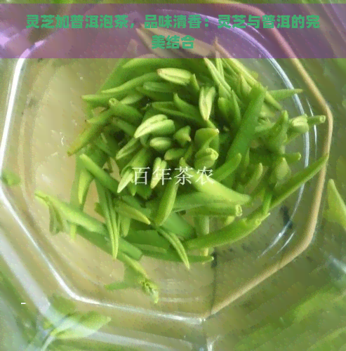 灵芝加普洱泡茶，品味清香：灵芝与普洱的完美结合