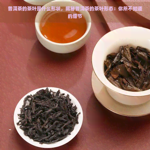 普洱茶的茶叶是什么形状，揭秘普洱茶的茶叶形态：你所不知道的细节