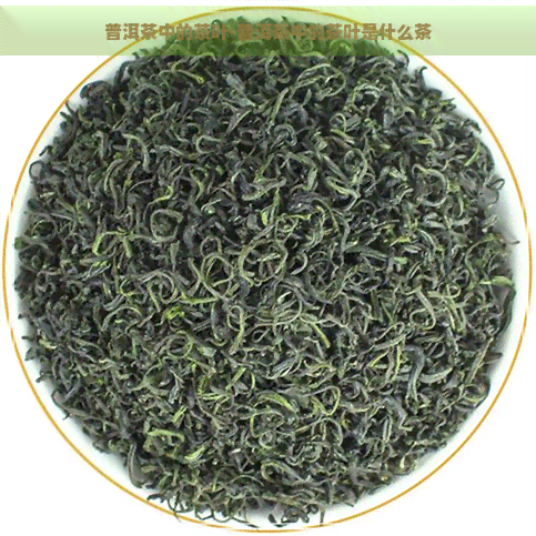 普洱茶中的茶叶-普洱茶中的茶叶是什么茶