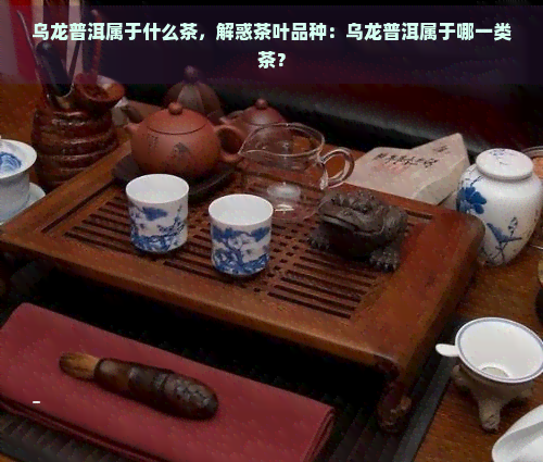 乌龙普洱属于什么茶，解惑茶叶品种：乌龙普洱属于哪一类茶？