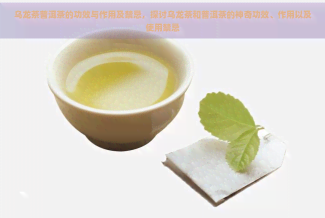 乌龙茶普洱茶的功效与作用及禁忌，探讨乌龙茶和普洱茶的神奇功效、作用以及使用禁忌