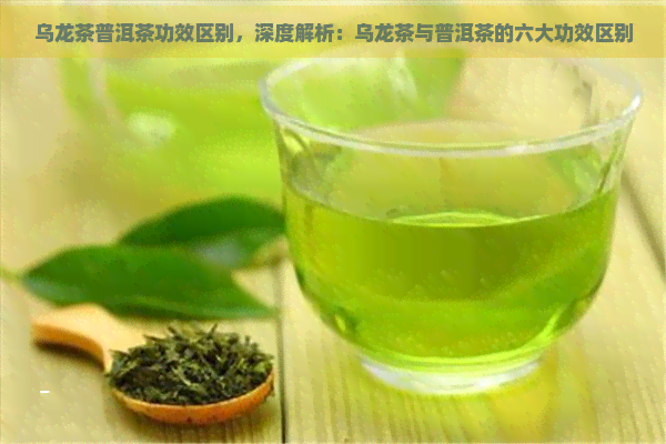 乌龙茶普洱茶功效区别，深度解析：乌龙茶与普洱茶的六大功效区别