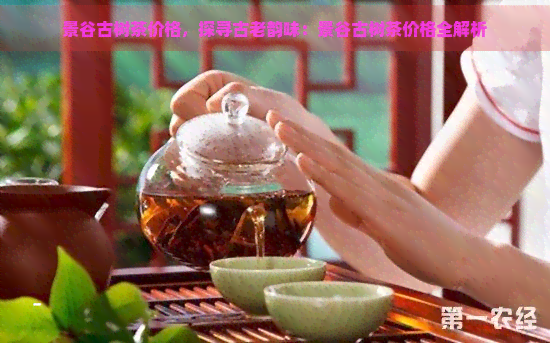 景谷古树茶价格，探寻古老韵味：景谷古树茶价格全解析