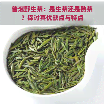 普洱野生茶：是生茶还是熟茶？探讨其优缺点与特点