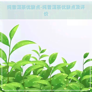 纯普洱茶优缺点-纯普洱茶优缺点及评价