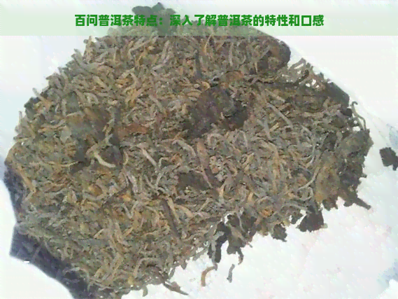 百问普洱茶特点：深入了解普洱茶的特性和口感