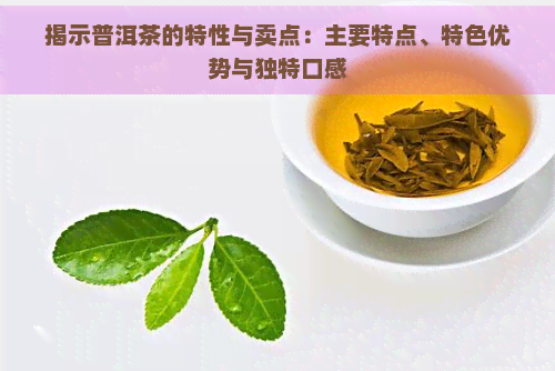 揭示普洱茶的特性与卖点：主要特点、特色优势与独特口感