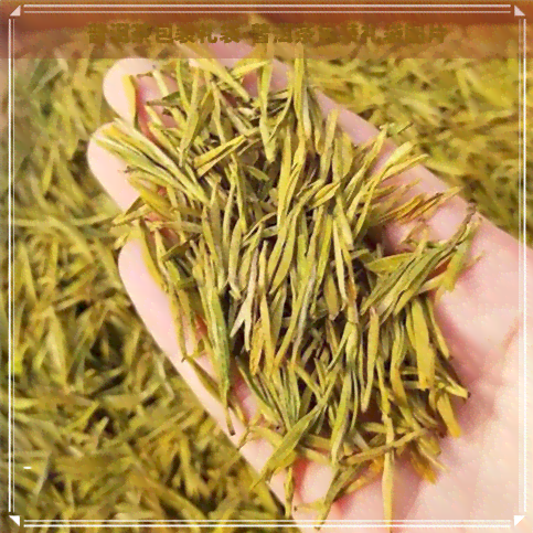 普洱茶包装礼袋-普洱茶包装礼袋图片