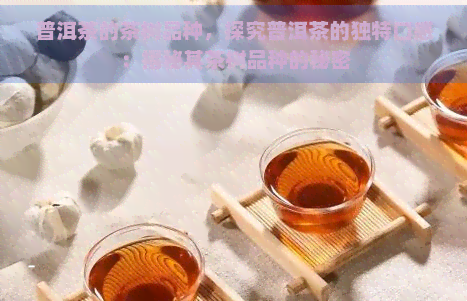 普洱茶的茶树品种，探究普洱茶的独特口感：揭秘其茶树品种的秘密