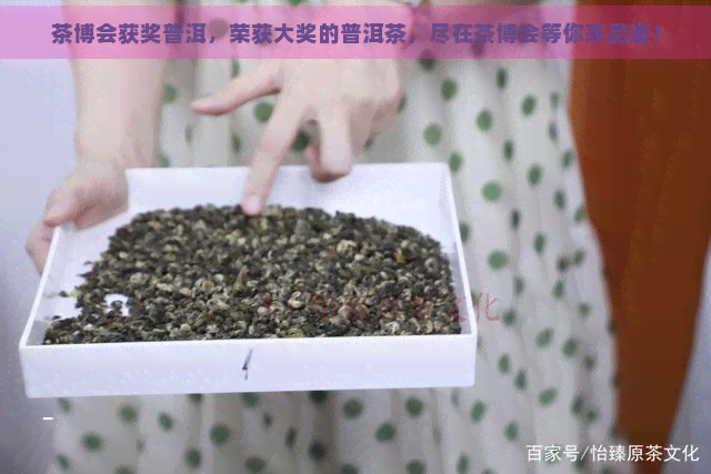 茶博会获奖普洱，荣获大奖的普洱茶，尽在茶博会等你来品鉴！