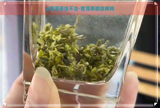 p普洱茶治不治-普洱茶能治病吗