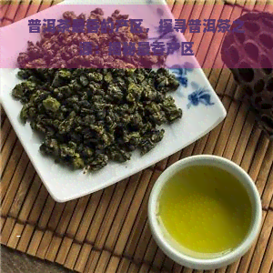 普洱茶最香的产区，探寻普洱茶之源：揭秘最香产区