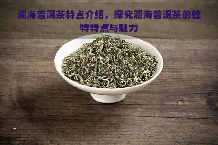 澜海普洱茶特点介绍，探究澜海普洱茶的独特特点与魅力