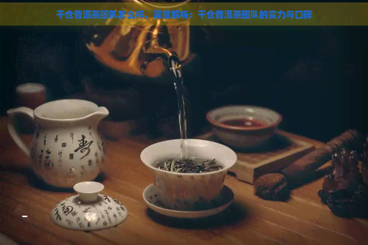 干仓普洱茶团队怎么样，深度解析：干仓普洱茶团队的实力与口碑