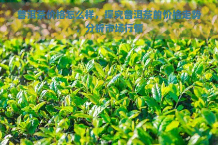 普洱茶价格怎么样，探究普洱茶的价格走势，分析市场行情