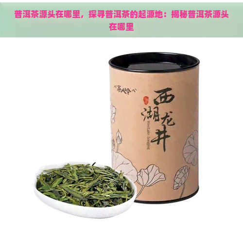 普洱茶源头在哪里，探寻普洱茶的起源地：揭秘普洱茶源头在哪里