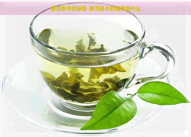 普洱茶中的秘密-普洱茶中的秘密是什么