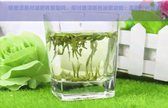 喝普洱茶对减肥有帮助吗，探讨普洱茶的减肥功效：是真的有效吗？