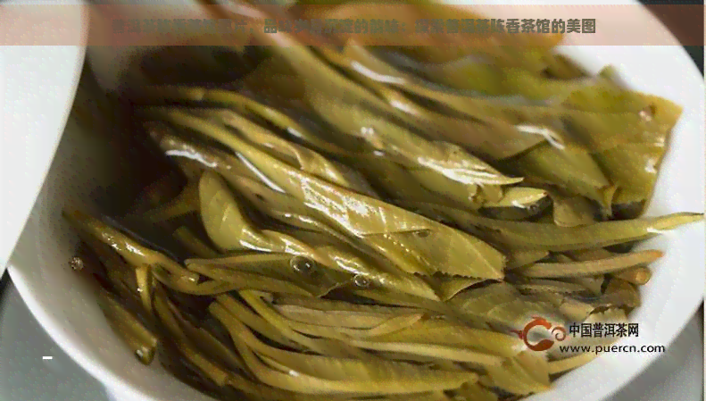 普洱茶陈香茶馆图片，品味岁月沉淀的韵味：探索普洱茶陈香茶馆的美图