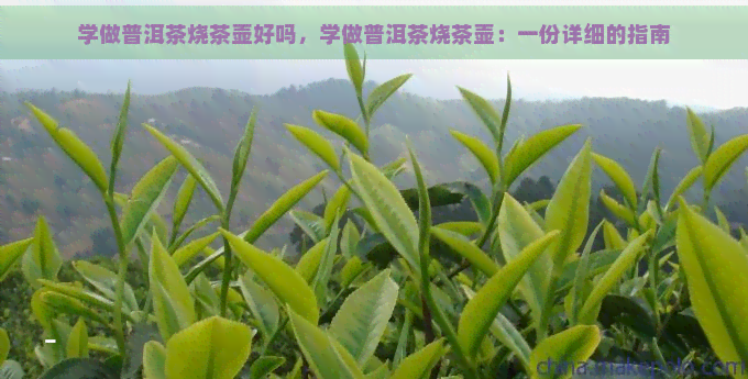 学做普洱茶烧茶壶好吗，学做普洱茶烧茶壶：一份详细的指南