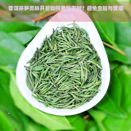 普洱茶笋壳拆开后如何重新密封？避免虫蛀与受潮的方法