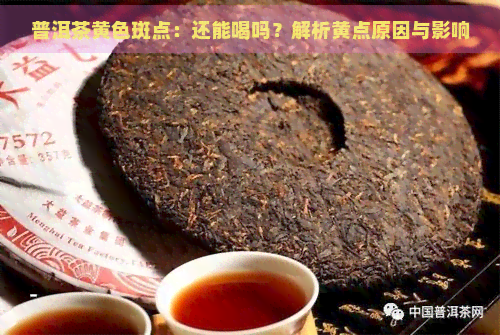 普洱茶黄色斑点：还能喝吗？解析黄点原因与影响