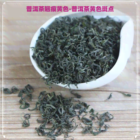 普洱茶翘痕黄色-普洱茶黄色斑点